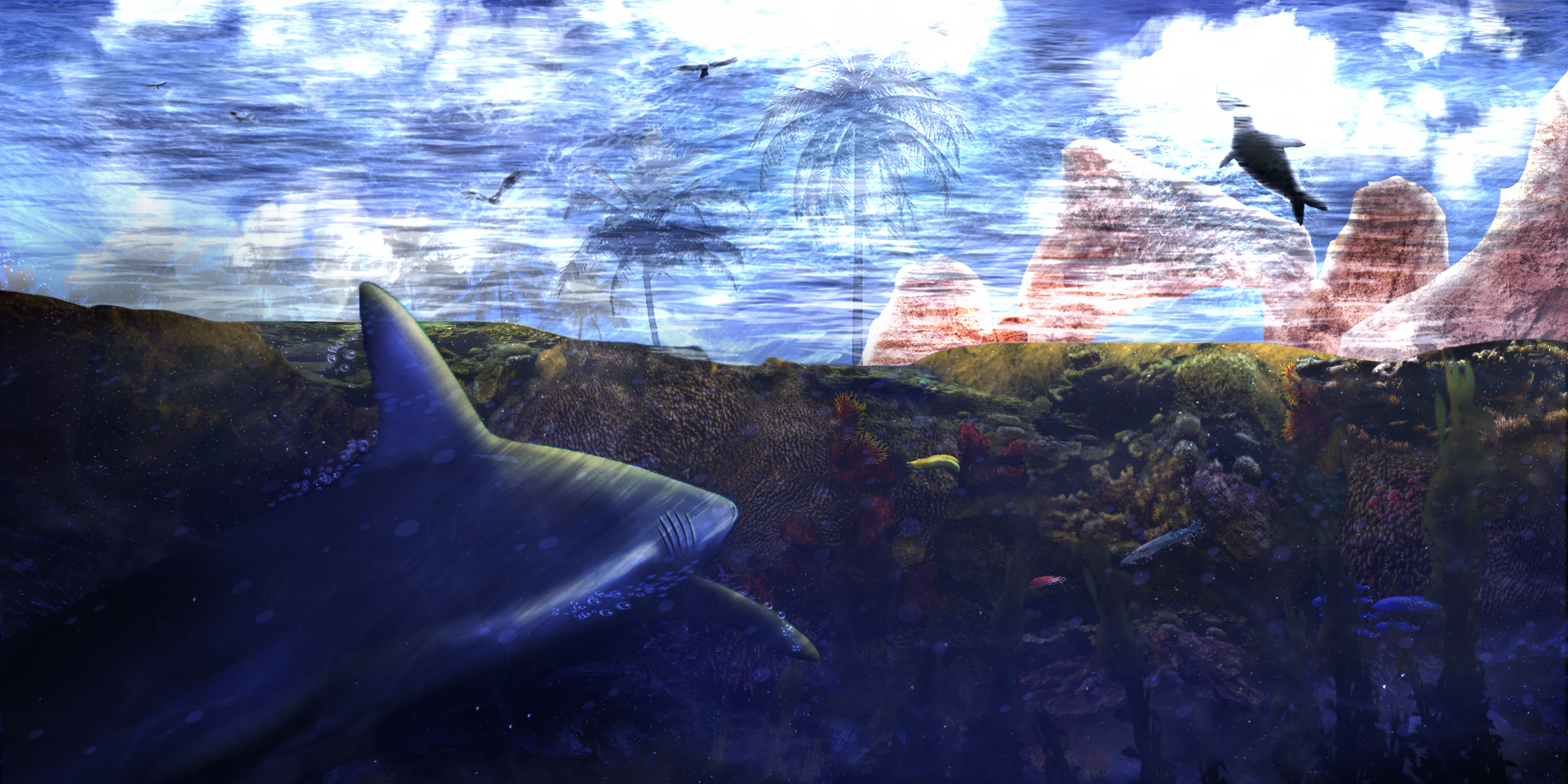 A shark stalking its prey