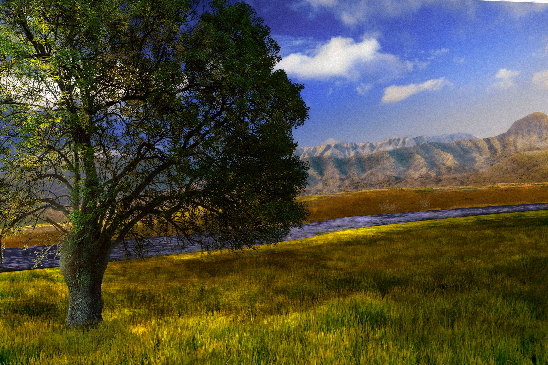 A tree in a high altitude enviroment